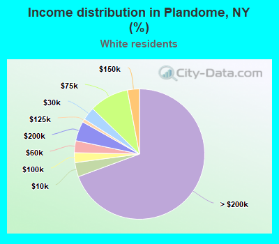 Income distribution in Plandome, NY (%)