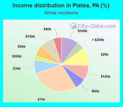 Income distribution in Platea, PA (%)