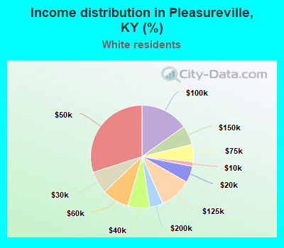 Income distribution in Pleasureville, KY (%)