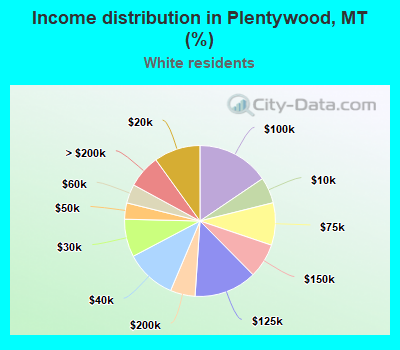 Income distribution in Plentywood, MT (%)