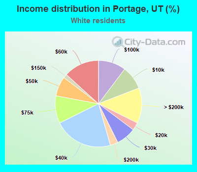 Income distribution in Portage, UT (%)