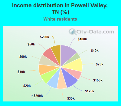Income distribution in Powell Valley, TN (%)