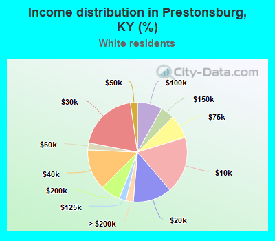 Income distribution in Prestonsburg, KY (%)
