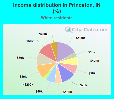 Income distribution in Princeton, IN (%)