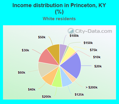 Income distribution in Princeton, KY (%)