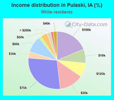 Income distribution in Pulaski, IA (%)