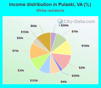 Income distribution in Pulaski, VA (%)