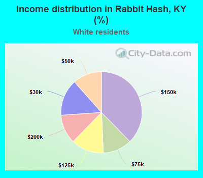 Income distribution in Rabbit Hash, KY (%)