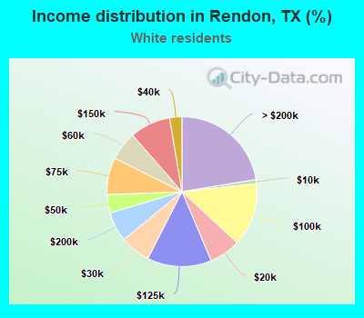 Income distribution in Rendon, TX (%)