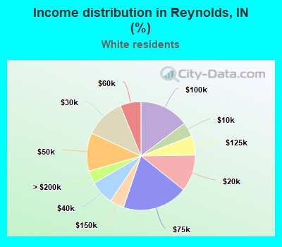 Income distribution in Reynolds, IN (%)