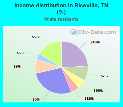 Income distribution in Riceville, TN (%)