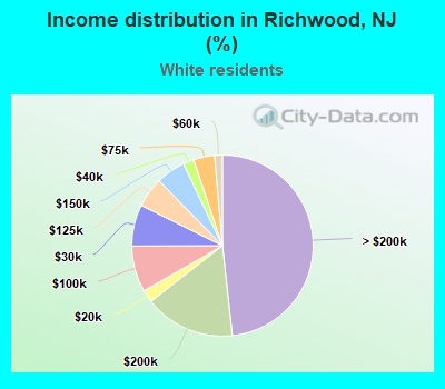 Income distribution in Richwood, NJ (%)