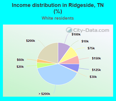 Income distribution in Ridgeside, TN (%)