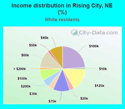 Income distribution in Rising City, NE (%)