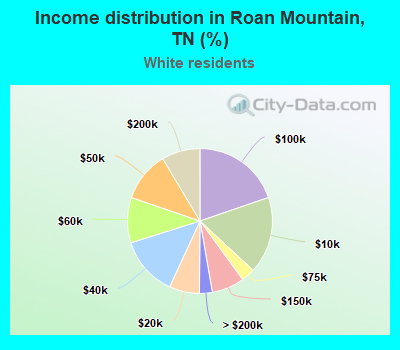 Income distribution in Roan Mountain, TN (%)