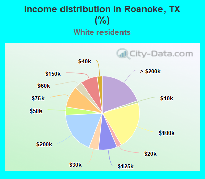 Income distribution in Roanoke, TX (%)