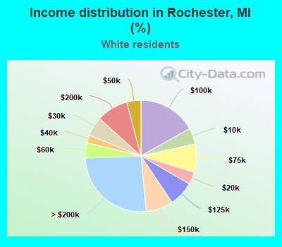Income distribution in Rochester, MI (%)