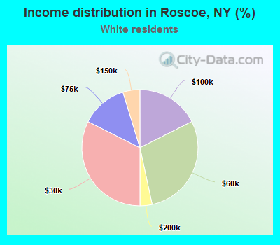 Income distribution in Roscoe, NY (%)