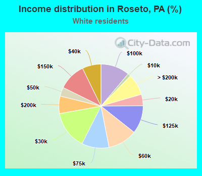 Income distribution in Roseto, PA (%)