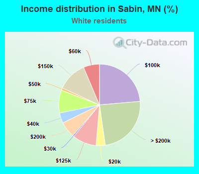 Income distribution in Sabin, MN (%)