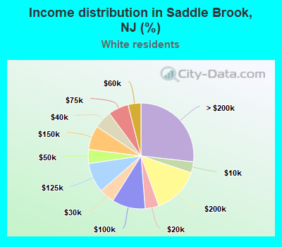 Income distribution in Saddle Brook, NJ (%)