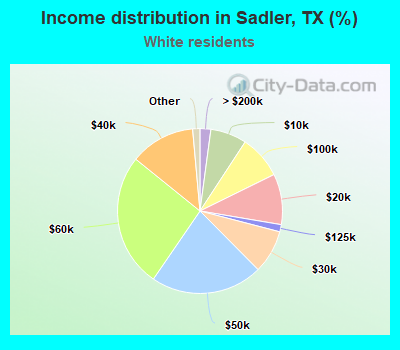 Income distribution in Sadler, TX (%)