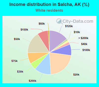 Income distribution in Salcha, AK (%)