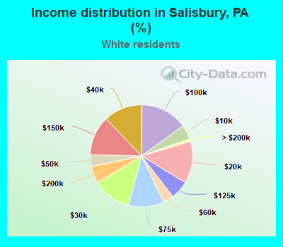 Income distribution in Salisbury, PA (%)