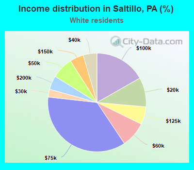 Income distribution in Saltillo, PA (%)