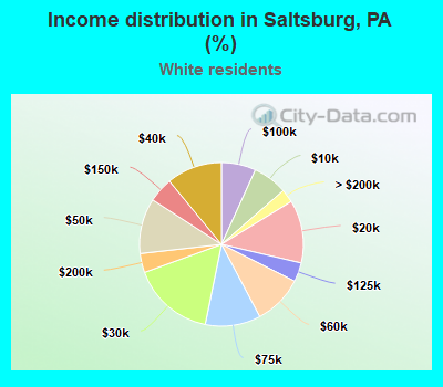 Income distribution in Saltsburg, PA (%)