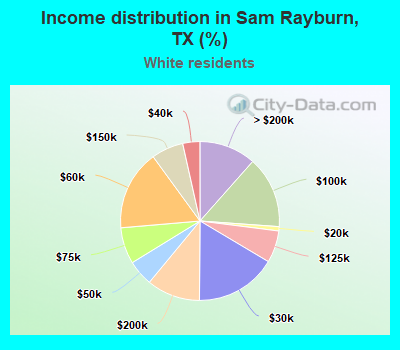 Income distribution in Sam Rayburn, TX (%)