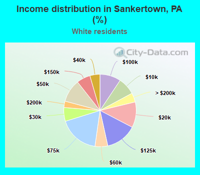 Income distribution in Sankertown, PA (%)