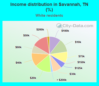Income distribution in Savannah, TN (%)