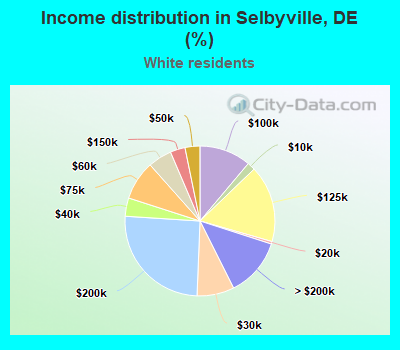 Income distribution in Selbyville, DE (%)