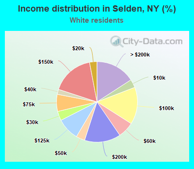 Income distribution in Selden, NY (%)