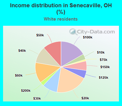 Income distribution in Senecaville, OH (%)