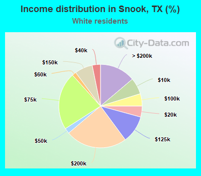 Income distribution in Snook, TX (%)
