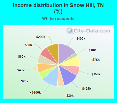 Income distribution in Snow Hill, TN (%)