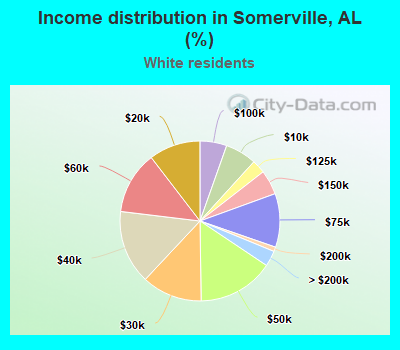 Income distribution in Somerville, AL (%)