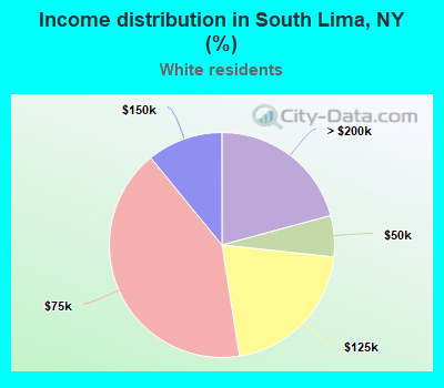 Income distribution in South Lima, NY (%)