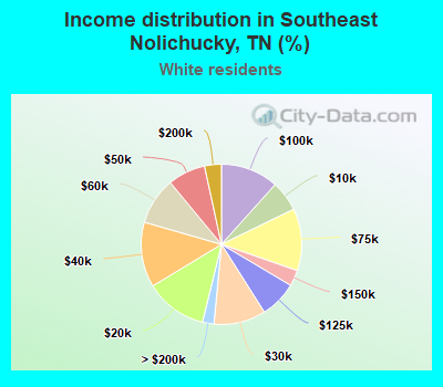 Income distribution in Southeast Nolichucky, TN (%)