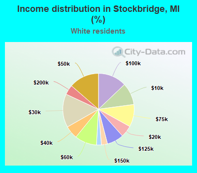 Income distribution in Stockbridge, MI (%)