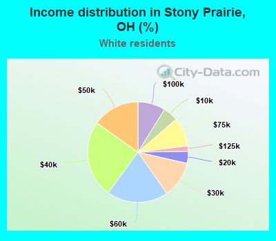 Income distribution in Stony Prairie, OH (%)