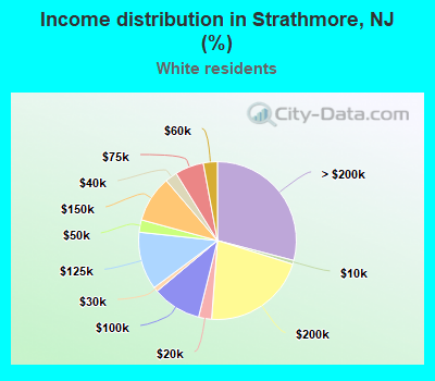 Income distribution in Strathmore, NJ (%)