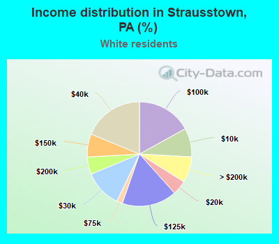 Income distribution in Strausstown, PA (%)