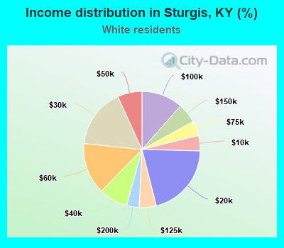 Income distribution in Sturgis, KY (%)