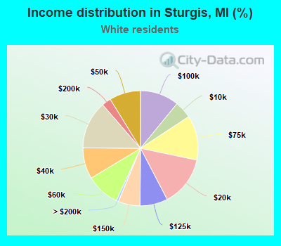 Income distribution in Sturgis, MI (%)