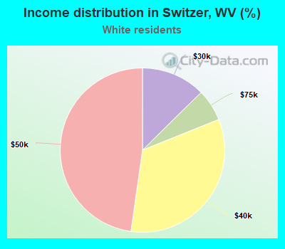 Income distribution in Switzer, WV (%)
