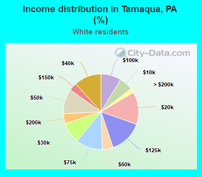 Income distribution in Tamaqua, PA (%)