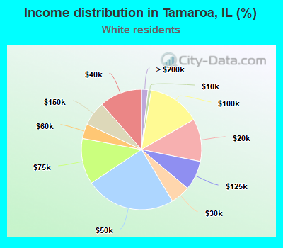 Income distribution in Tamaroa, IL (%)